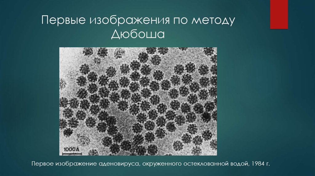 Первые изображения по методу Дюбоша