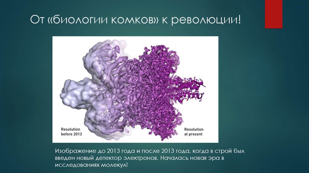 От «биологии комков» к революции!