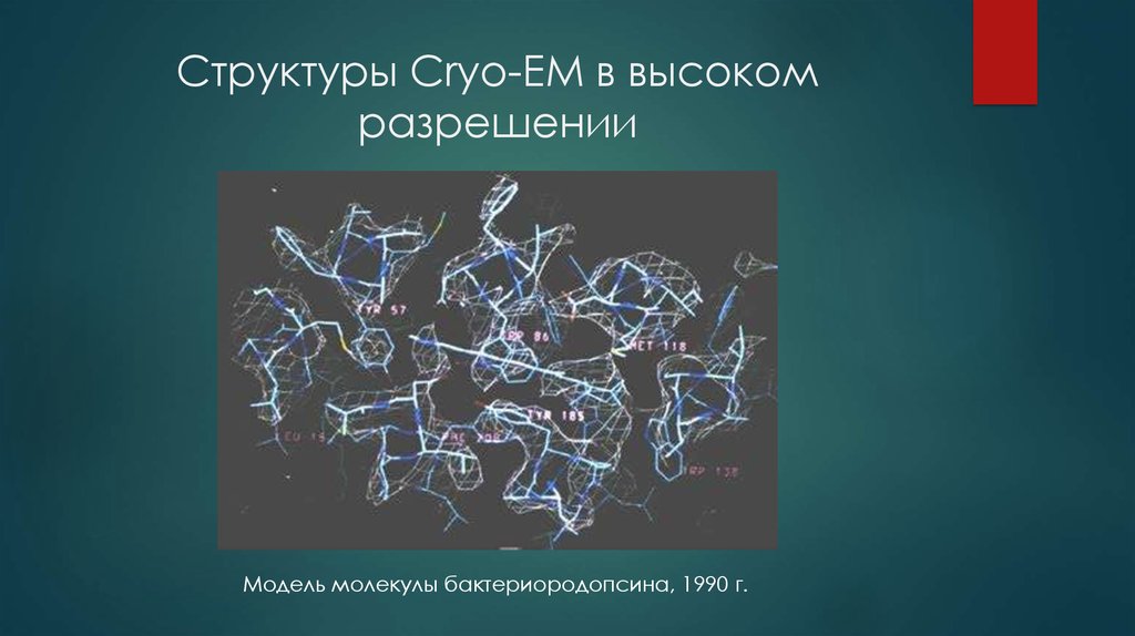 Структуры Cryo-EM в высоком разрешении