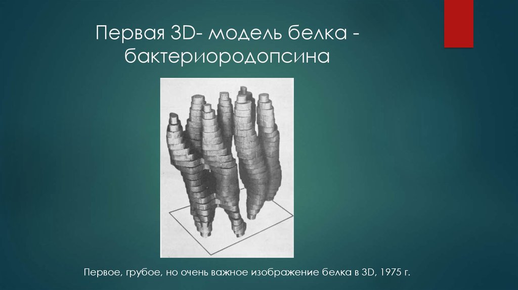 Первая 3D- модель белка - бактериородопсина