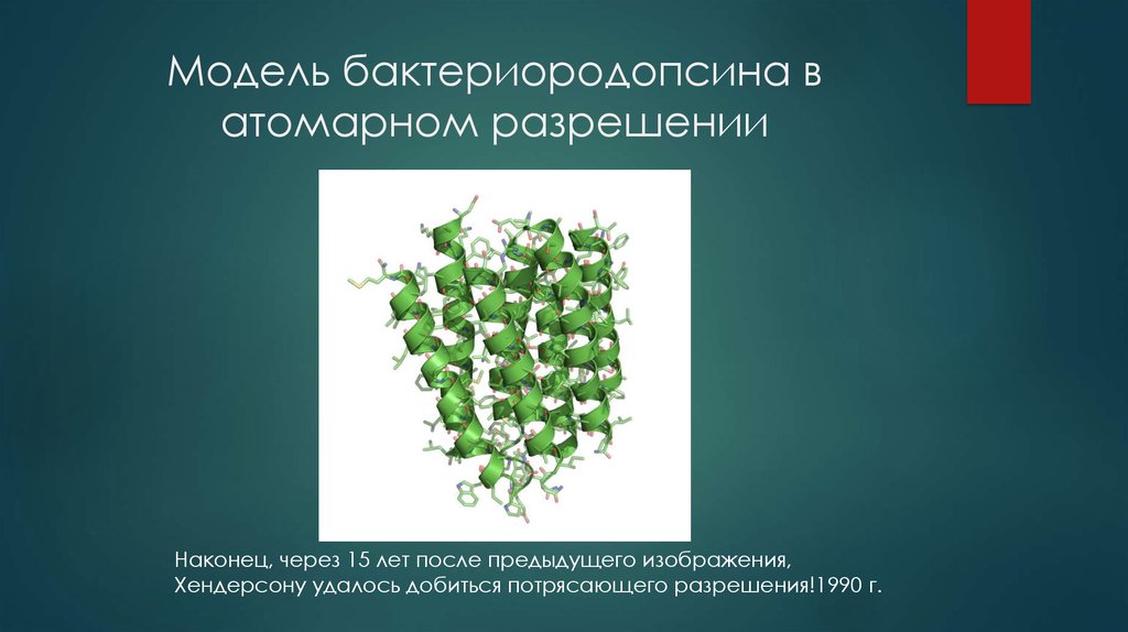 Модель бактериородопсина в атомарном разрешении