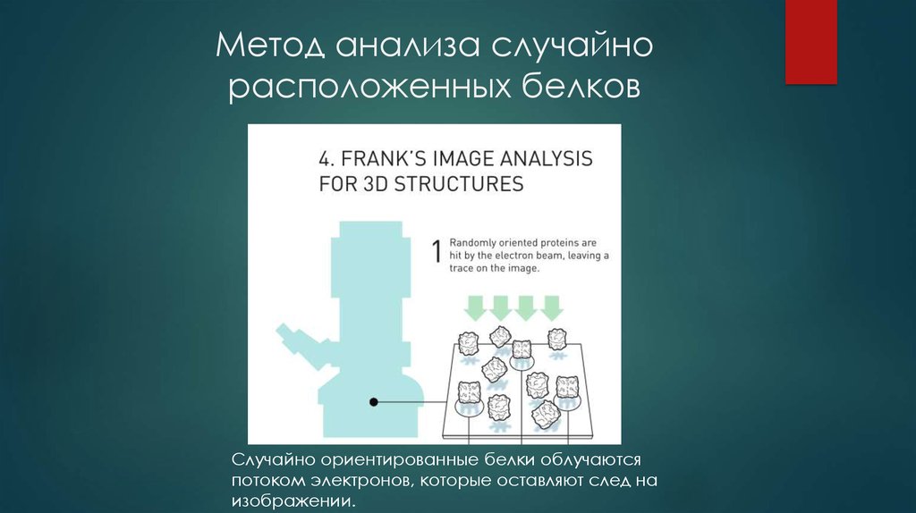 Метод анализа случайно расположенных белков