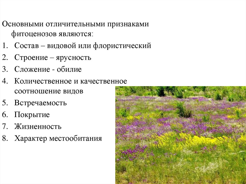 Основные растительные сообщества. Признаки фитоценоза. Встречаемость видов растений. Покрытие фитоценоза.