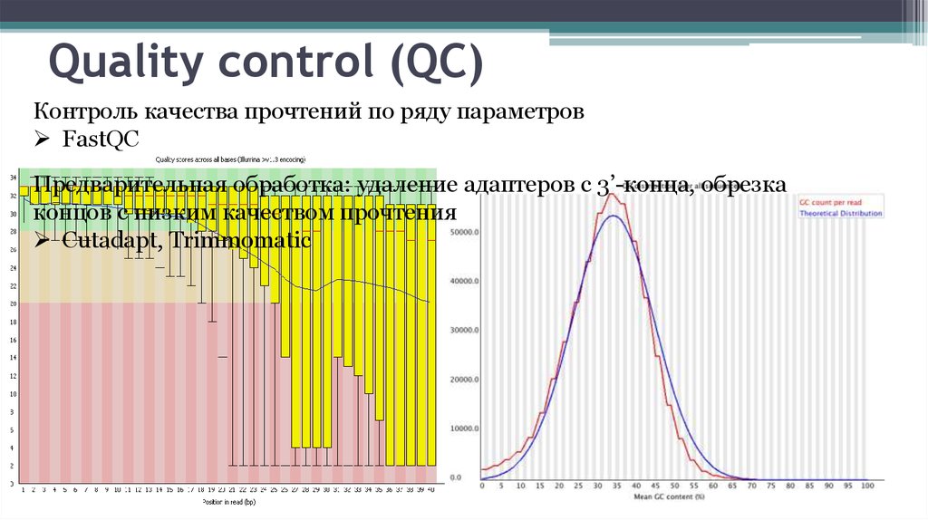 Fastqc. Trimmomatic. Обработка данных NGS. Биоинформатический Пайплайн. График оценки качества прочтений NGS.