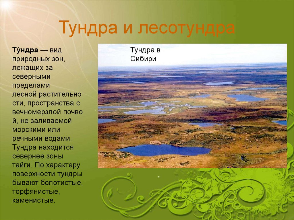 Различия между степью и тундрой. Природные зоны Евразии 7. Зона лесотундры и тундры география. Зона тундры Евразии растительность. Природные зоны материка Евразия.
