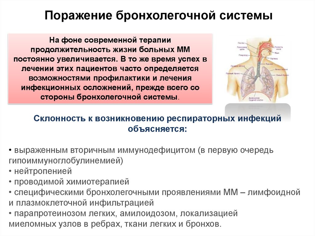 Очаги экстрамедуллярного кроветворения