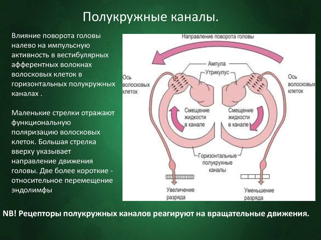 Канал действия