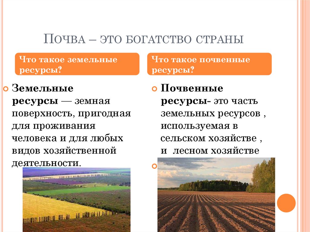 Объясните различия понятий. Почвенно земельные ресурсы РФ. Земельные ресурсы и почвенные ресурсы. Почвенные природные ресурсы. Почвенные ресурсы презентация.