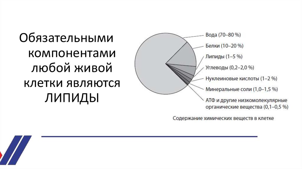 Любой компонент