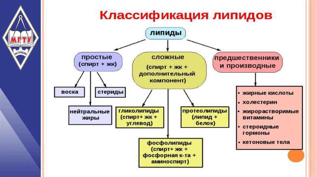 Источники визуальной информации. Источники визуальной информации