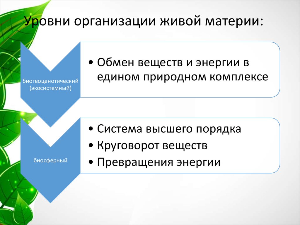 Уровень живой материи пропущен