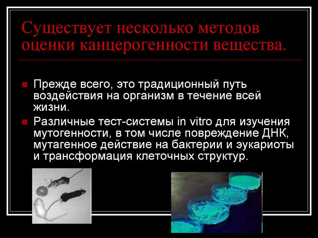 Несколько методов. Диагностические тесты in vitro. Аллергические тесты in vitro. Исследование метода in vitro. Тесты in vitro для диагностики IGE-опосредованных заболеваний..