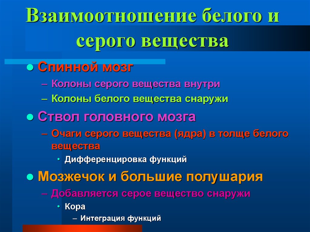 В сером веществе происходит. Функции серого и белого вещества. Классификация гетеротопии серого вещества. Понятие о сером и белом веществе анатомия.