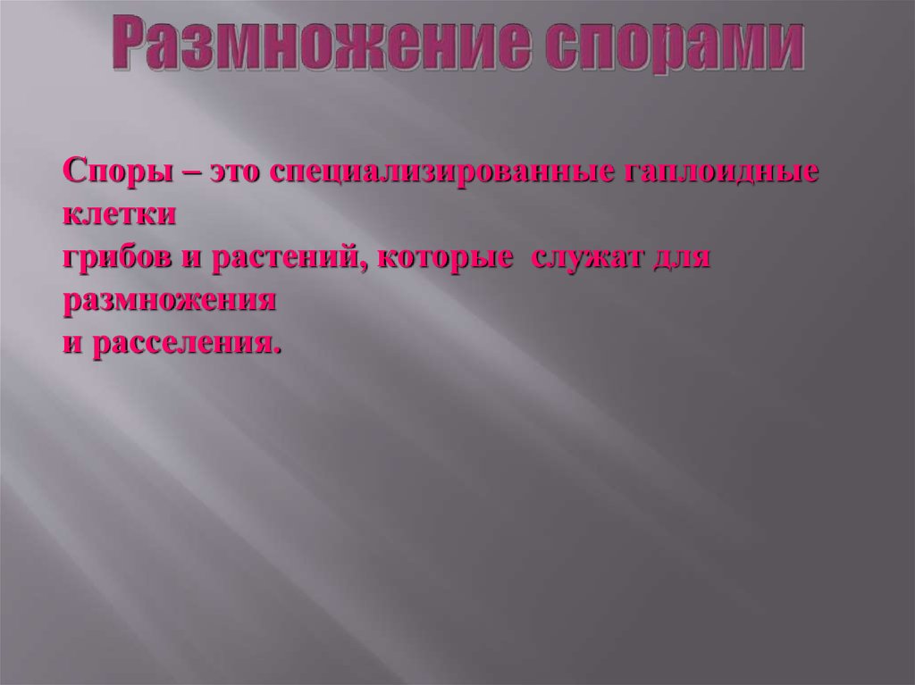 Размножение спорами