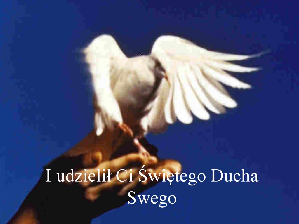 I udzielił Ci Świętego Ducha Swego