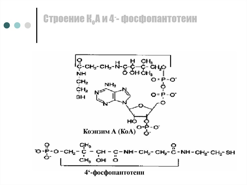 Кофермент атф. Строение коэнзима а биохимия. КОА формула биохимия. Коэнзим. Коэнзим а структура.