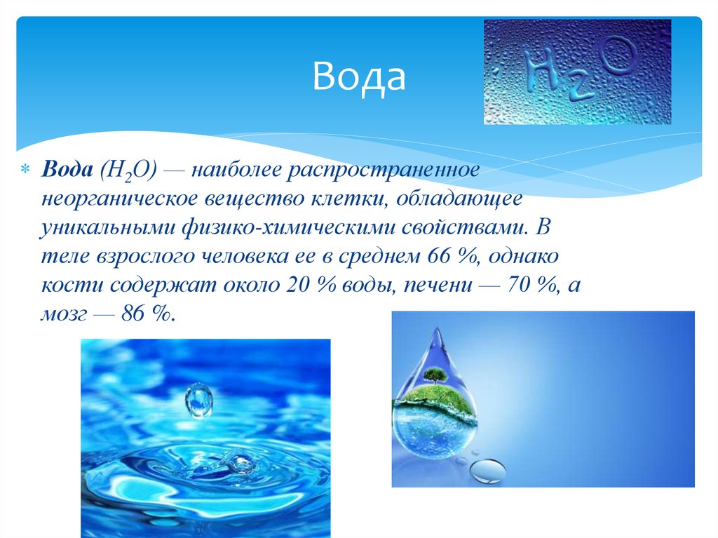 Вода н2о. Самое распространенное неорганическое вещество клетки. Вода н2о картинки.
