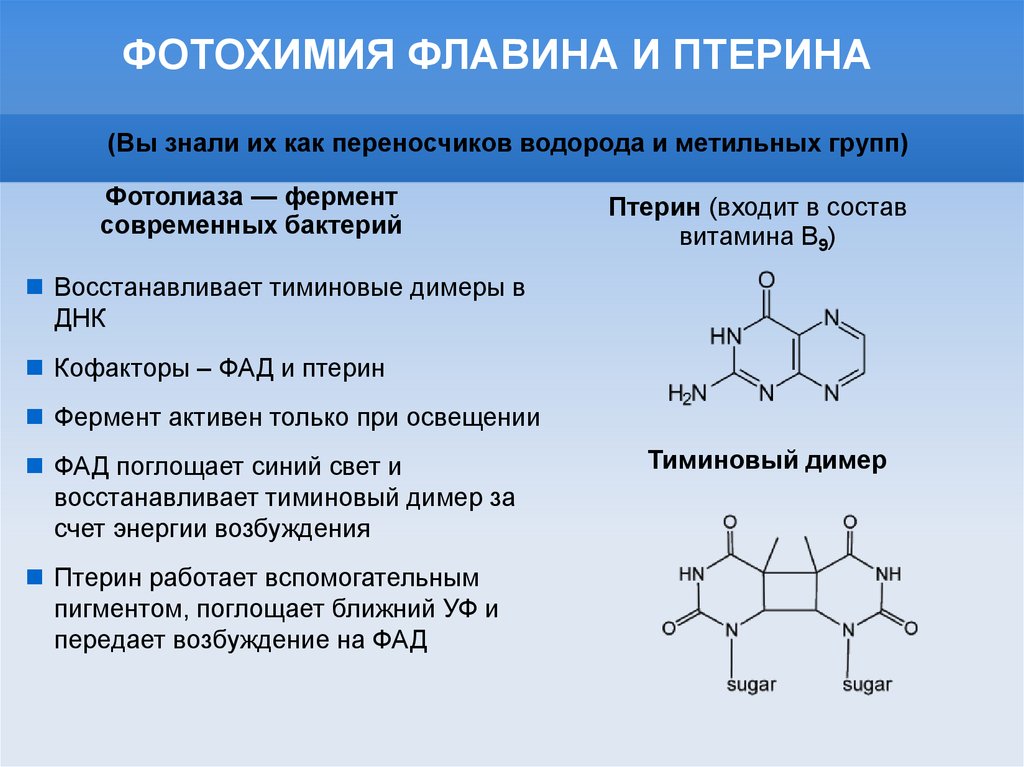 Рнк обмен веществ