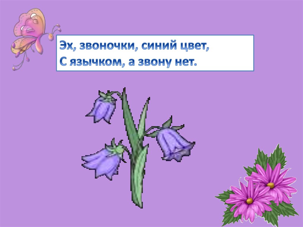 Ответ цветок. Загадки о цветах. Загадки на цветах картинки. Загадки про цветы с картинками. Загадки о цветах 2 класс.