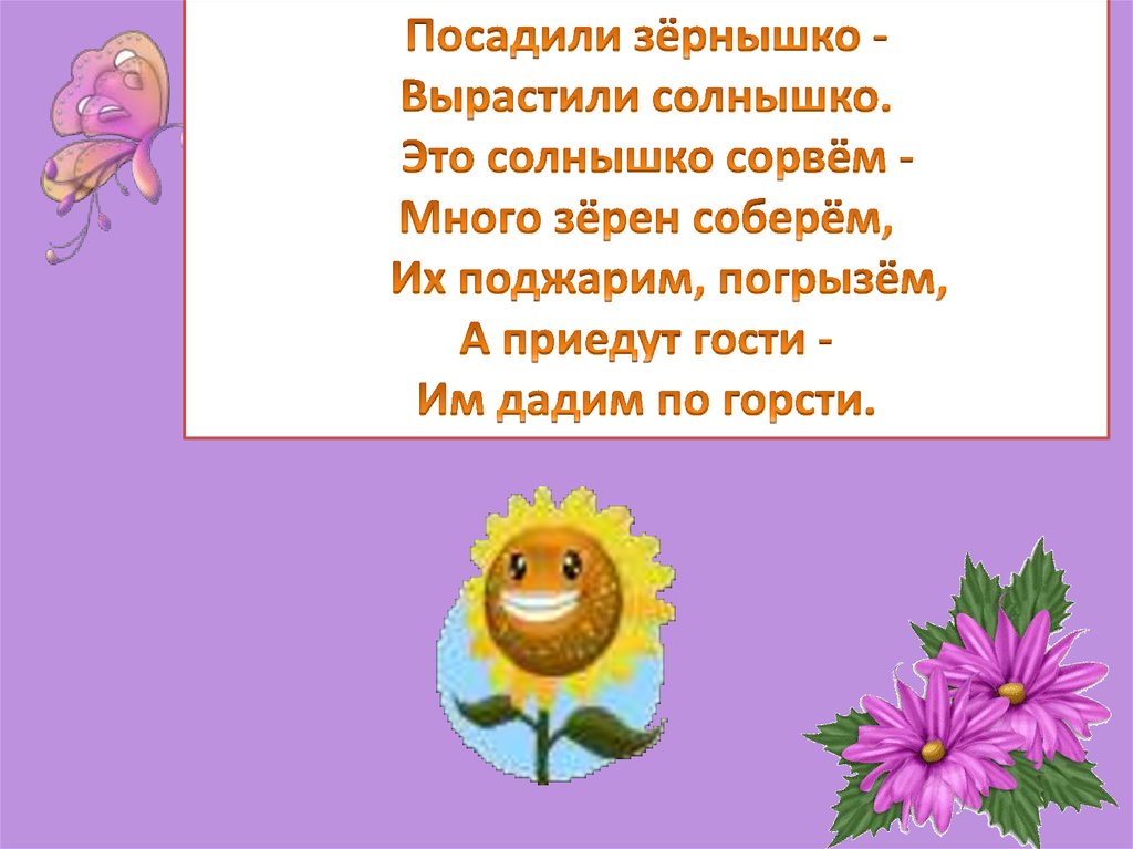 Выросло солнышко. Посадили зернышко. Загадака: посадили зёрнышко. Вырастили солнышко. Посадил зернышко выросло солнышко. Зернышко вырастили солнышко это солнышко.