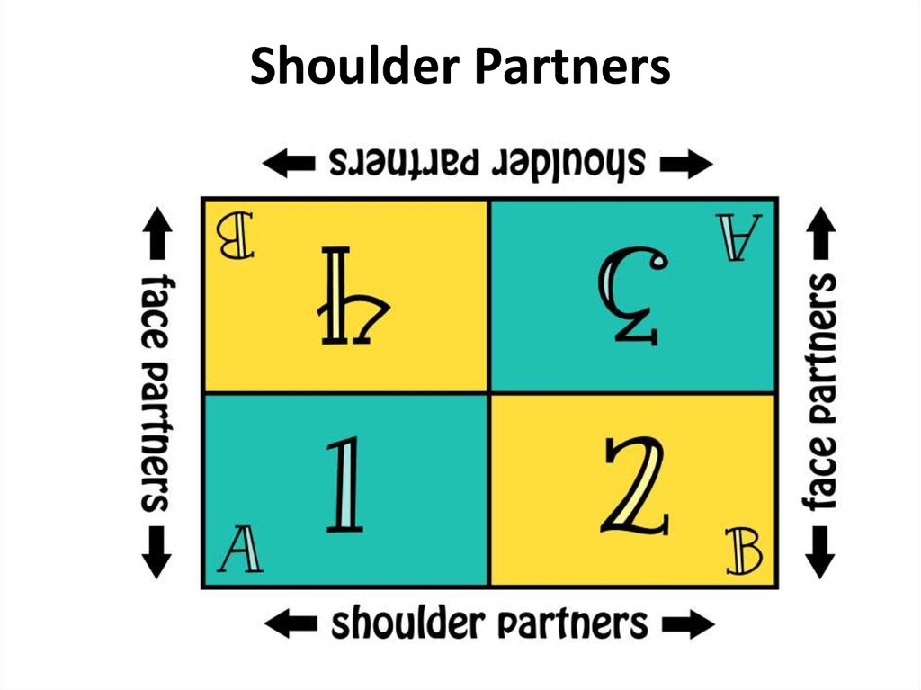 Shoulder Partners