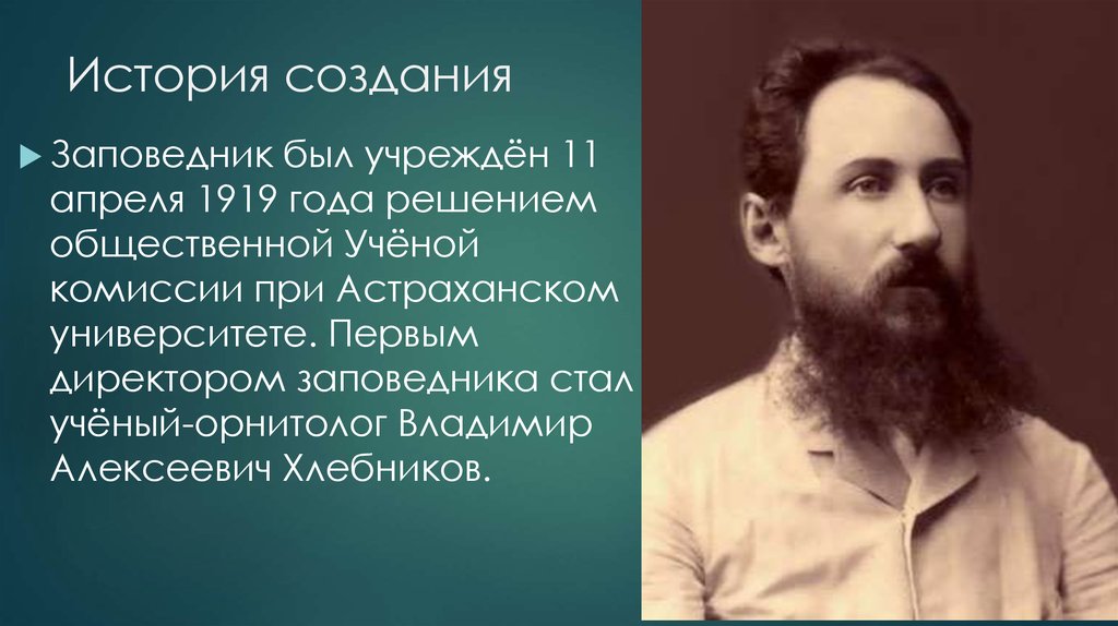 Фамилия основателя заповедника. Владимир Алексеевич Хлебников Астраханский заповедник. Владимир Алексеевич Хлебников отец Велимира Хлебникова. Владимир Хлебников орнитолог. Владимир Алексеевич Хлебников, русский ученый-орнитолог..