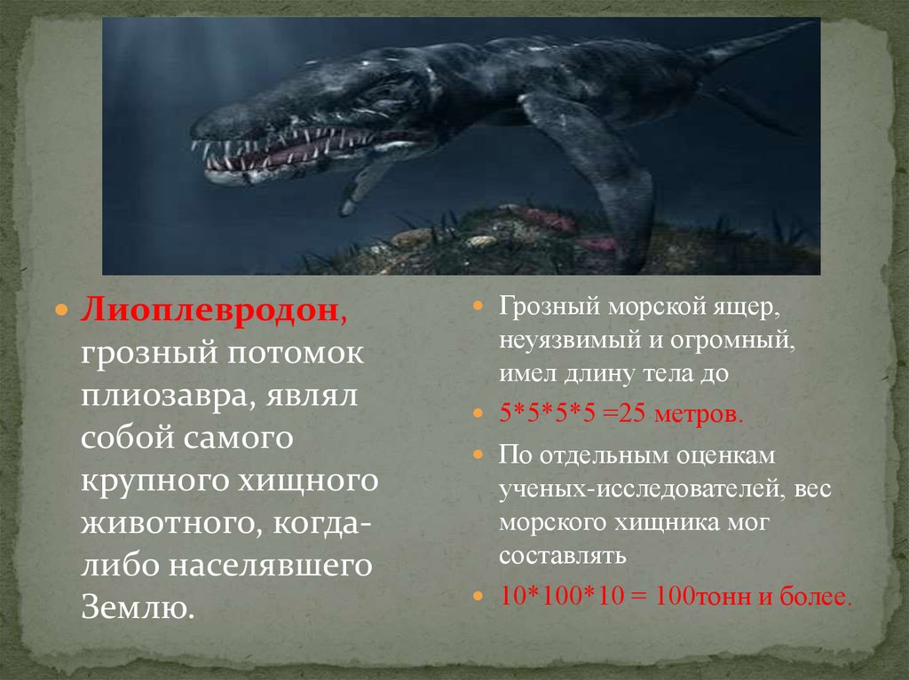 Составьте план предполагаемой экскурсии на тему древние обитатели нашей планеты