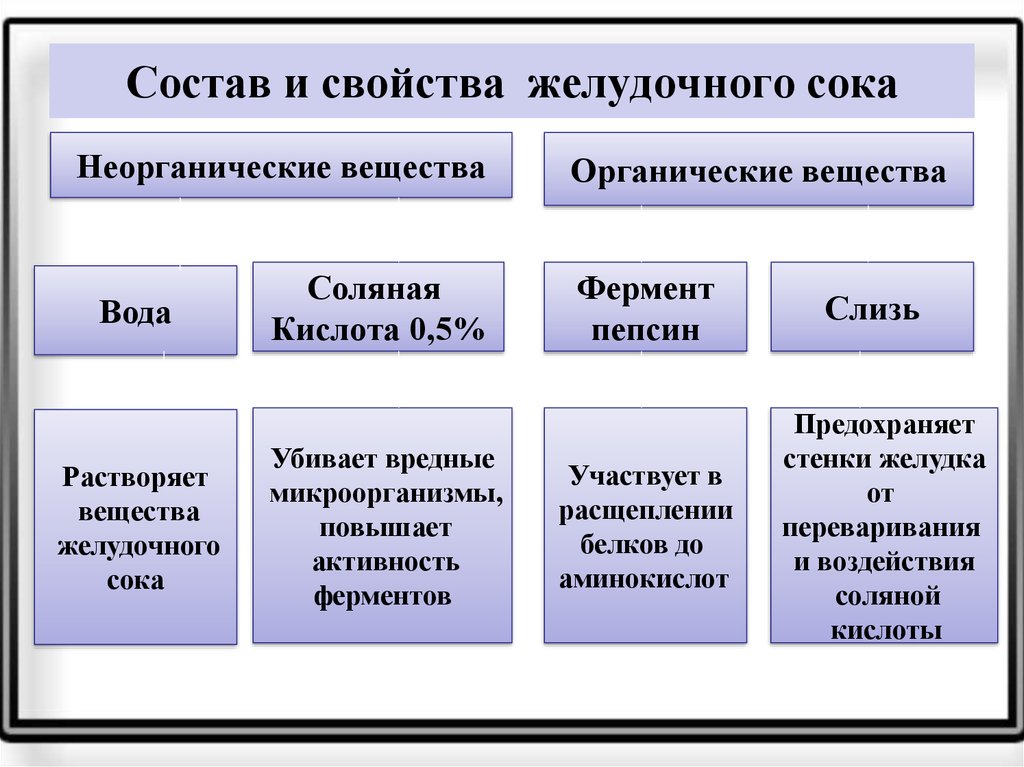 Пищеварительные соки. Состав желудочного сока физиология. Функции основных компонентов желудочного сока. Состав желудочного сока неорганические вещества. Основные составляющие желудочного сока.