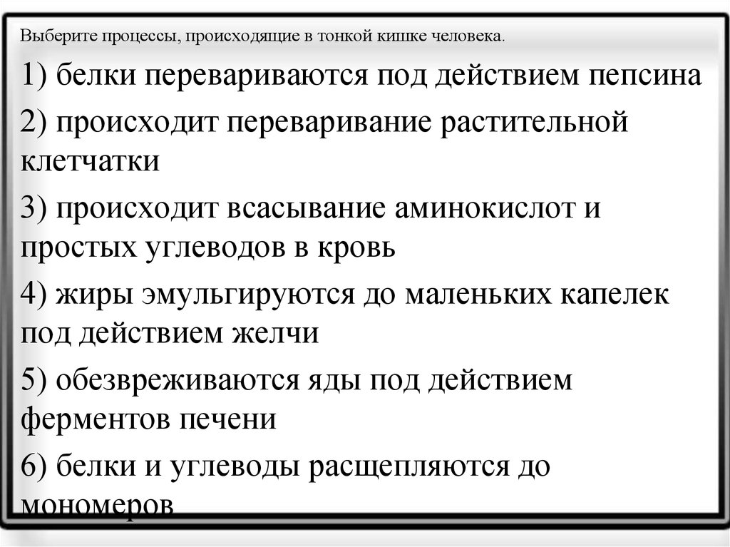 Выберите процессы происходящие. Выберите процессы происходящие в тонкой кишке человека. Процессы происходящие в тонком кишечнике. В тонком кишечнике человека происходят процессы. Какие процессы происходят в тонком кишечнике человека?.