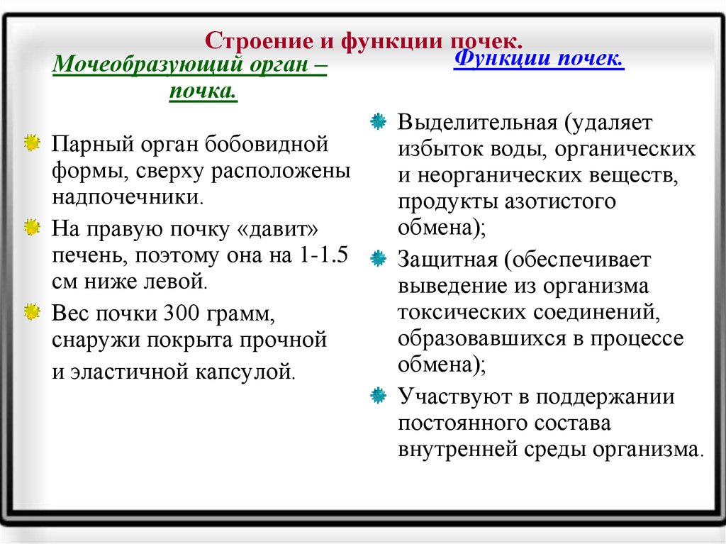 Функции почек презентация