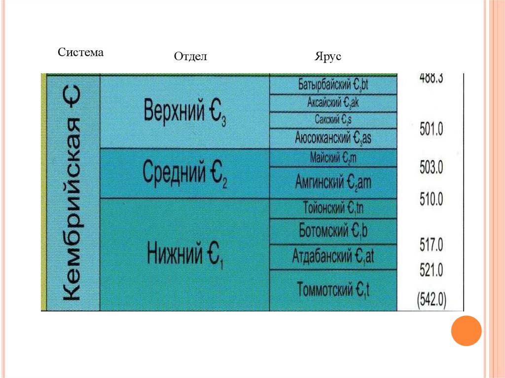 Средний ярус. Батырбайский ярус индекс.