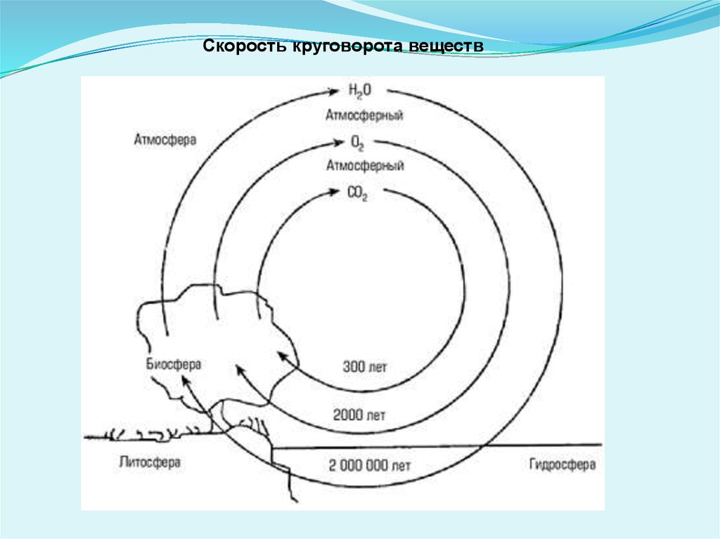 Круговорот воды в биосфере схема 11 класс