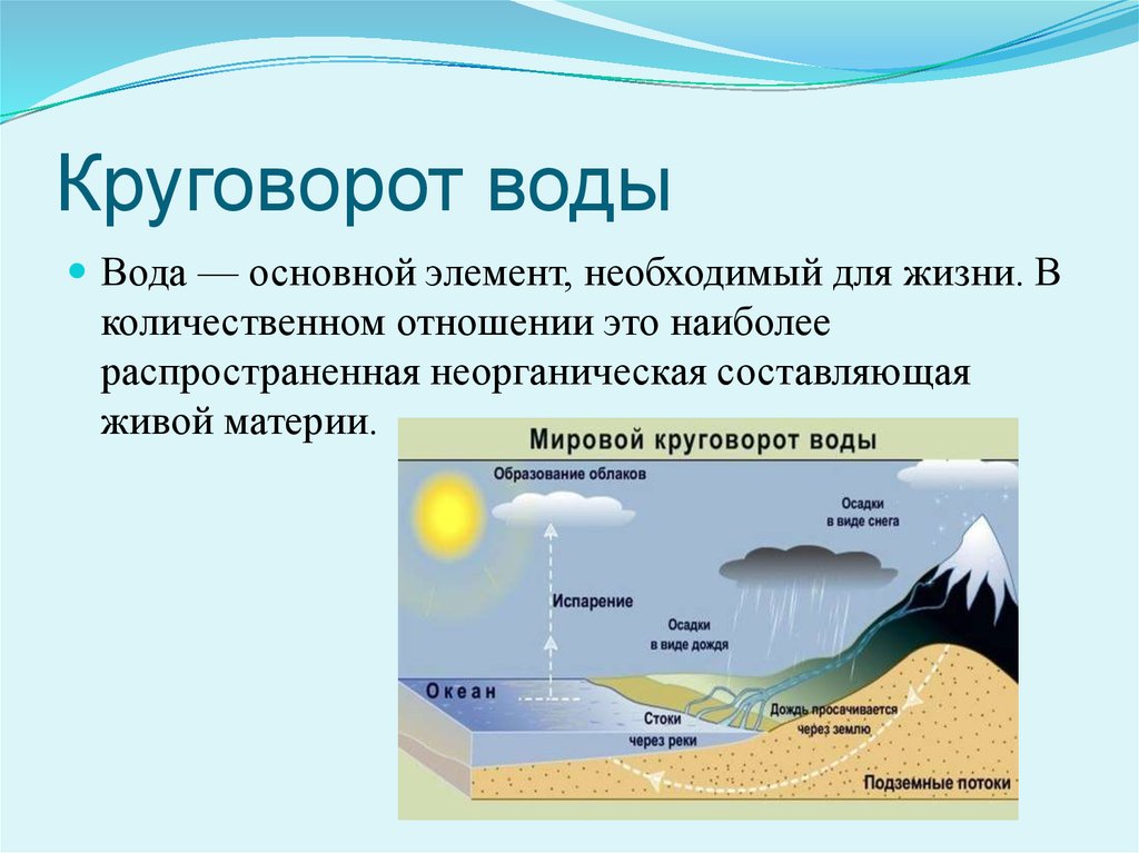 Круговорот воды в биосфере схема 11 класс