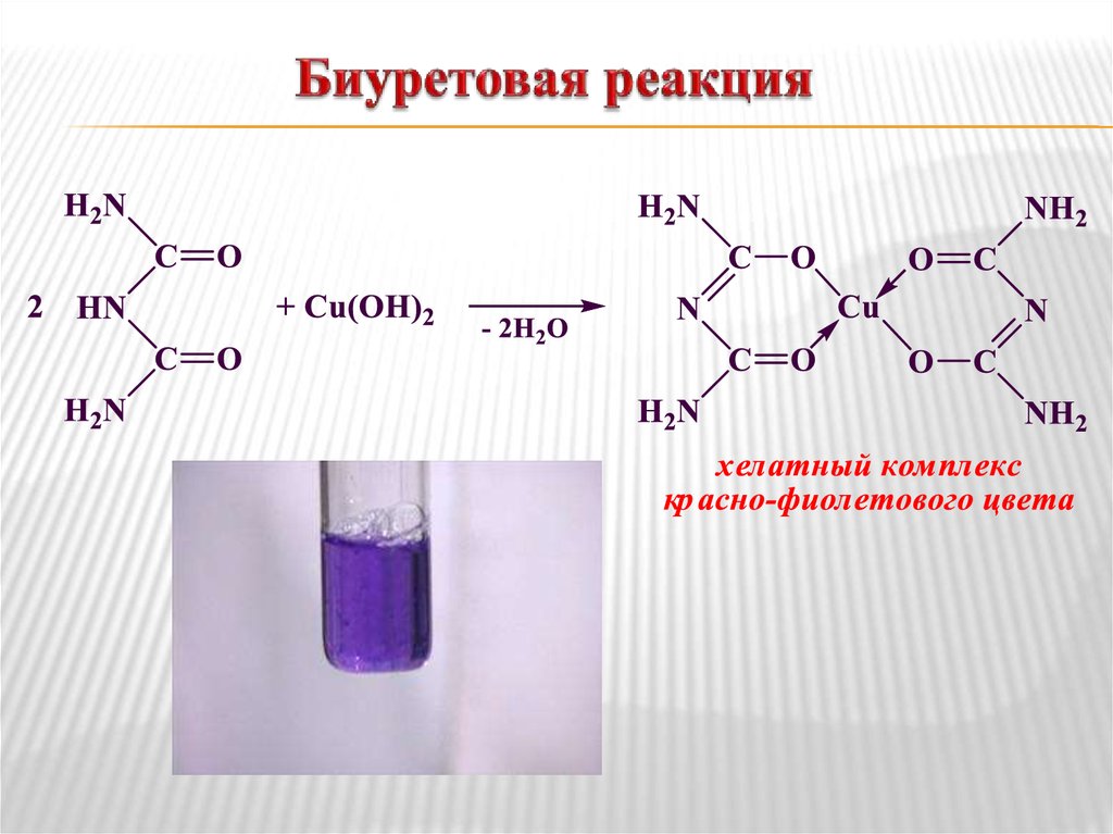 Биуретовая реакция схема