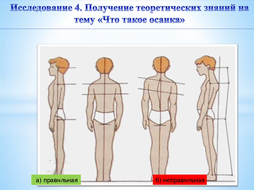 Роль физических упражнений в формировании осанки школьников презентация