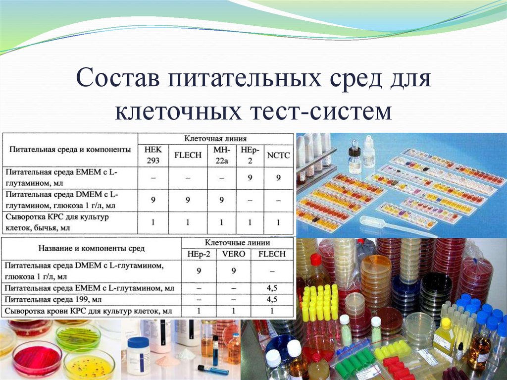 Среду состоящую из. Питательные среды для животных клеток. Состав питательных сред. Клеточные тест системы. Питательные среды для культивирования клеток.