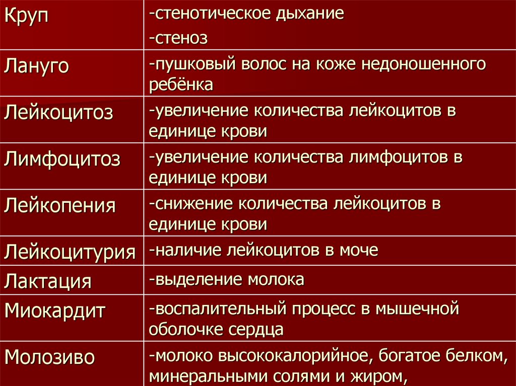 Технология словарь терминов