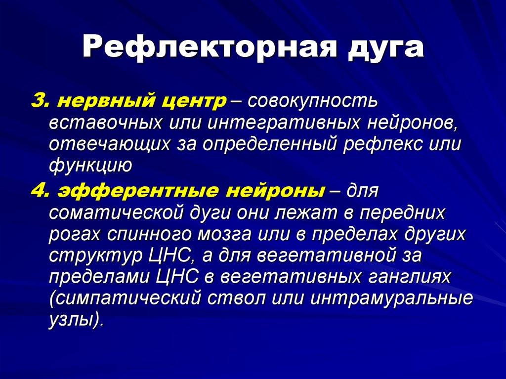 Принцип рефлекторной работы мозга был открыт. Интегративная функция нервной клетки физиология. Интегративная функция нейрона физиология. Интегративная деятельность нейрона. Рефлекторный принцип деятельности нервных центров.