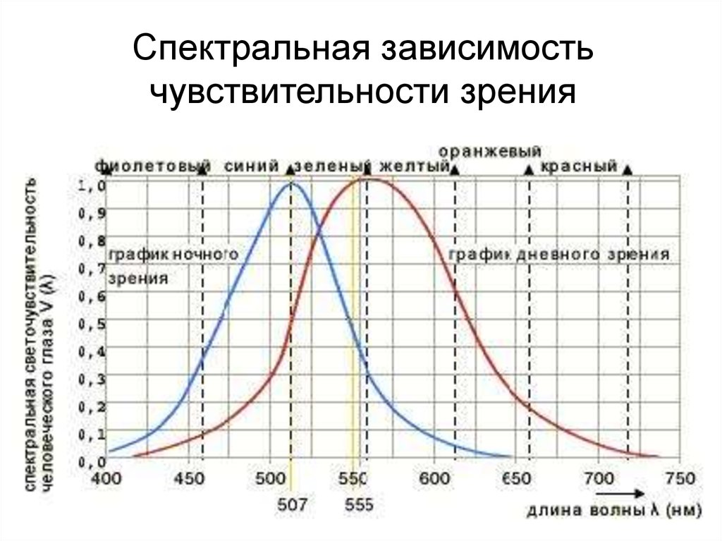 Спектральная зависимость. График относительной спектральной чувствительности глаза. Спектральная характеристика чувствительности глаза. Кривая спектральной чувствительности. Кривая относительной спектральной чувствительности глаза.