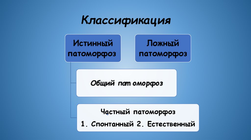 Классификация