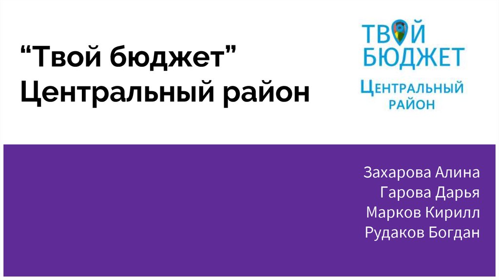 Твой бюджет. Твой бренд презентация.