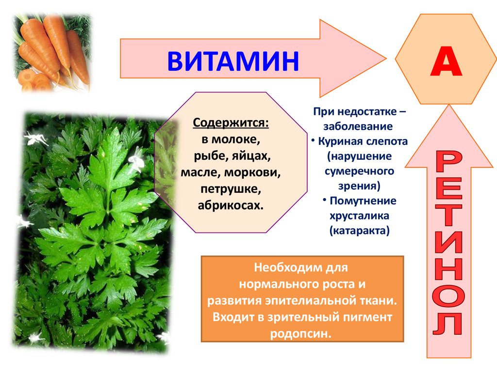 Витамины нарушения. Заболевания при недостатке витамина а. Болезни при нехватке витаминов. Болезни возникающие при недостатке витаминов. Заболевания при дефиците витамина к.