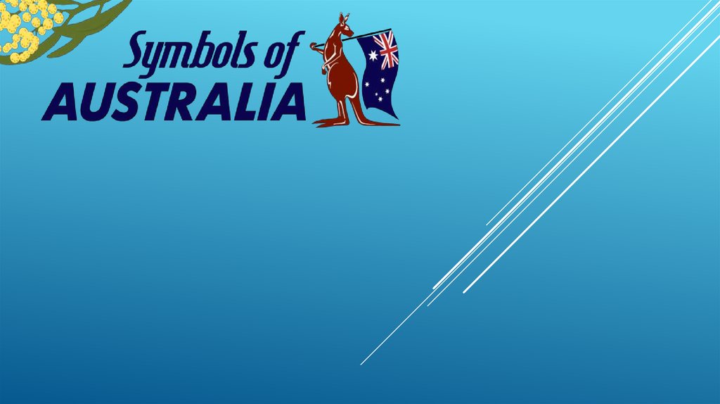 Symbols of australia. Symbols of Australia презентация. Australian National symbols. National symbols of Australia. Тема для презентации Австралия без текста.