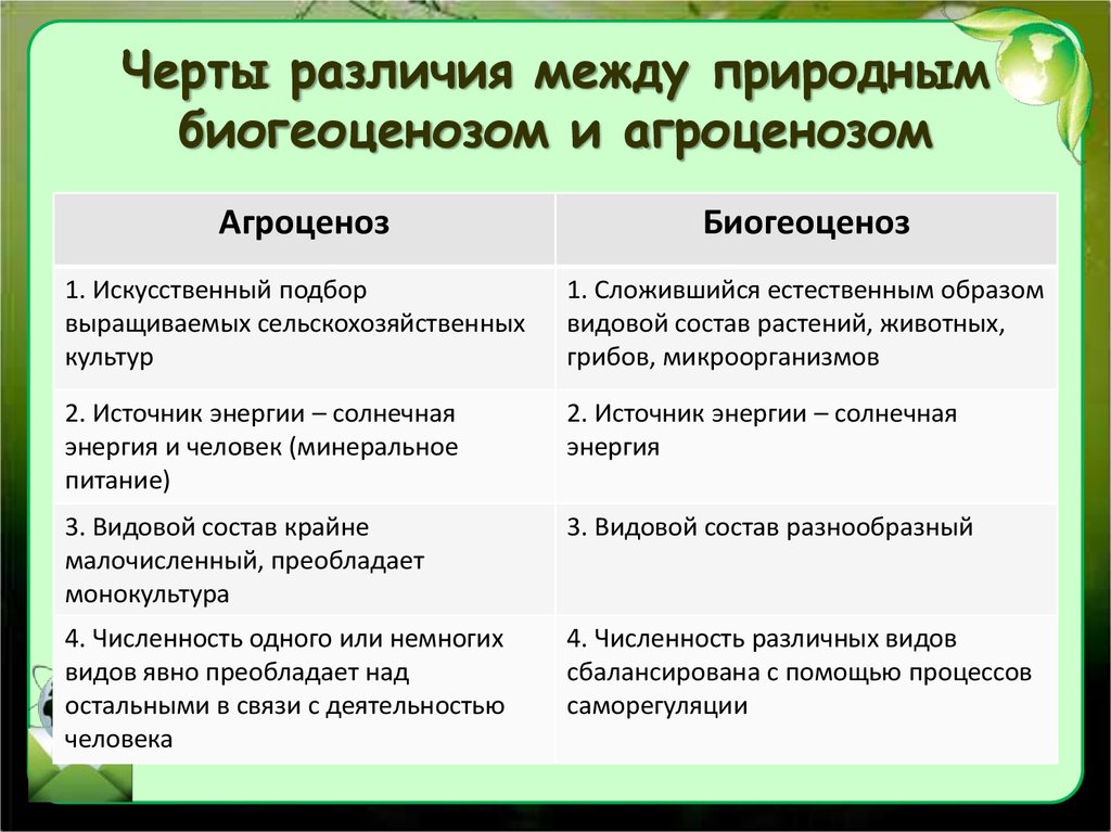 Черты сходства черты отличия. Отличие агроценоза от естественных экосистем. Сравнение биогеоценоза и агроценоза. Черты различия биогеоценоза и агроценоза. Сходства и отличия агроценоза и биогеоценоза.