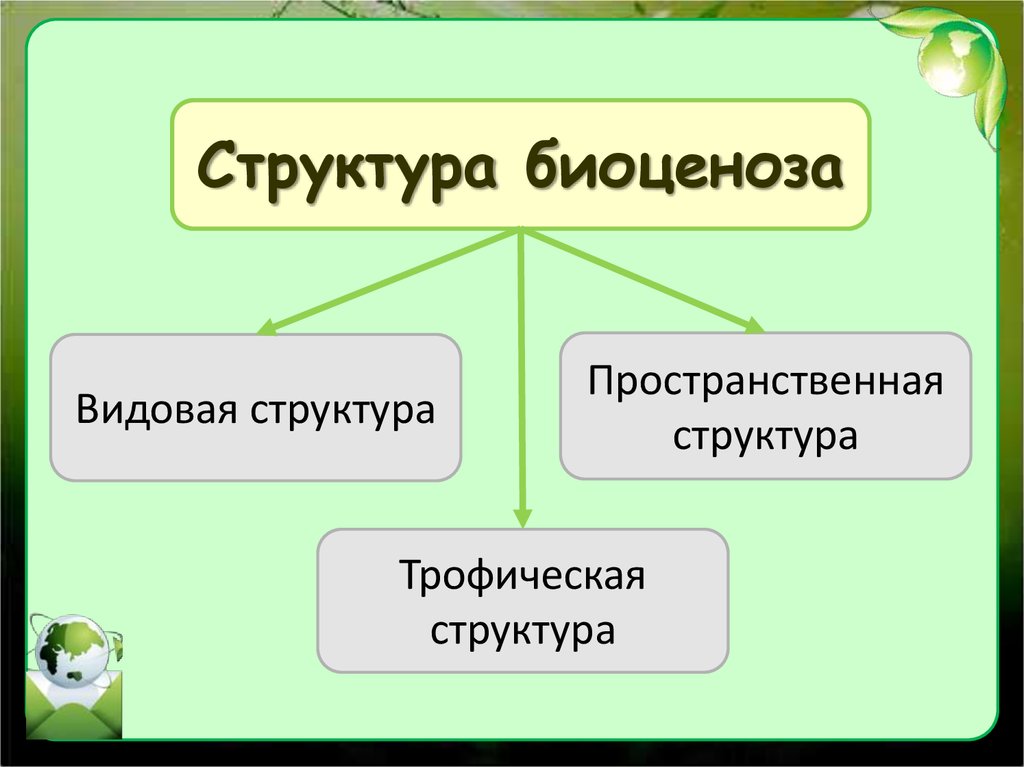 Виды видового состава. Структура сообщества видовая пространственная трофическая. Структура биоценоза. Видовая структура биоценоза. Структура биоценоза видовая пространственная трофическая.