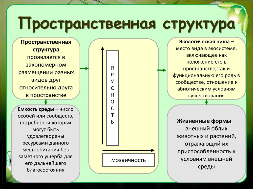 Среда экологическое сообщество. Пространственная структура. Экологическая емкость среды. Ёмкость среды это в экологии. Емкость среды популяции.