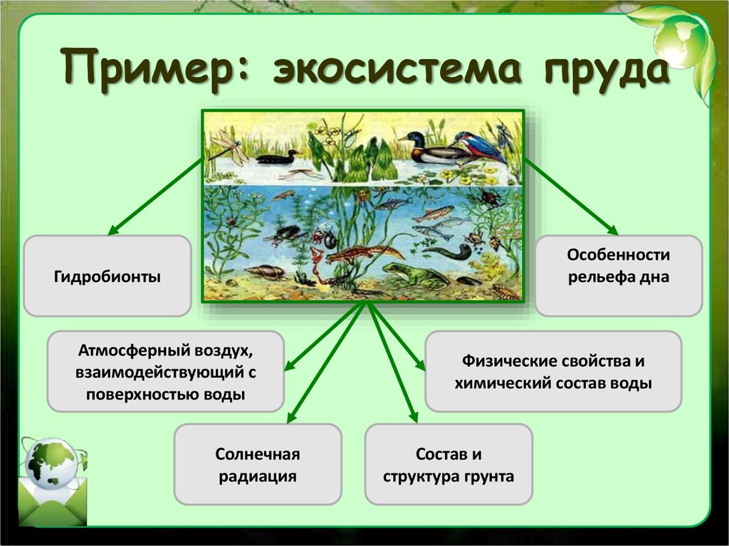 Экосистема экологические факторы презентация 7 класс