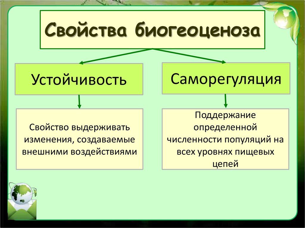 Свойства живых экосистем