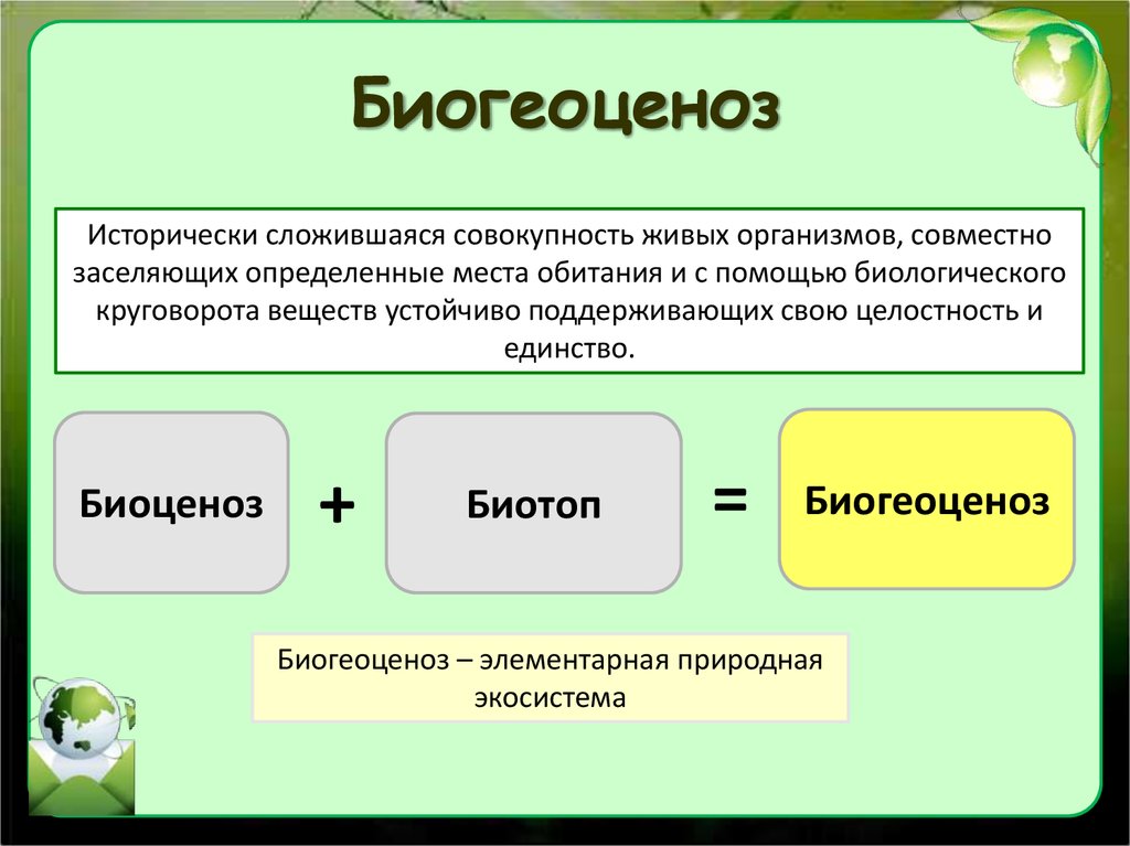 Понятие о природном сообществе биогеоценозе и экосистеме 6 кл презентация