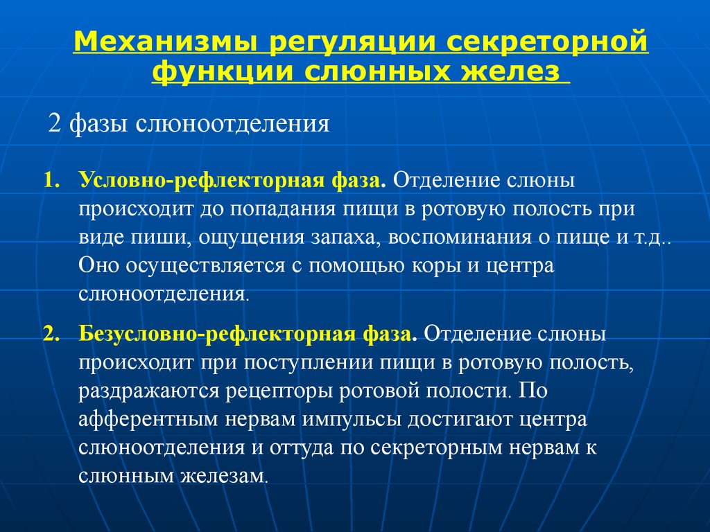 Вставь пропущенные термины на схеме регуляция слюноотделения